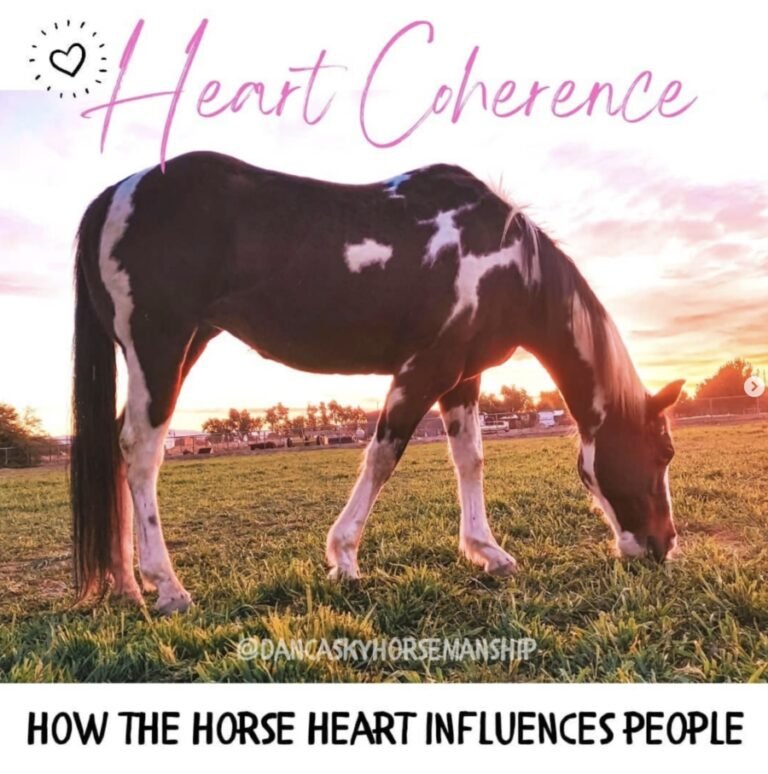 match your heart beat with your horse