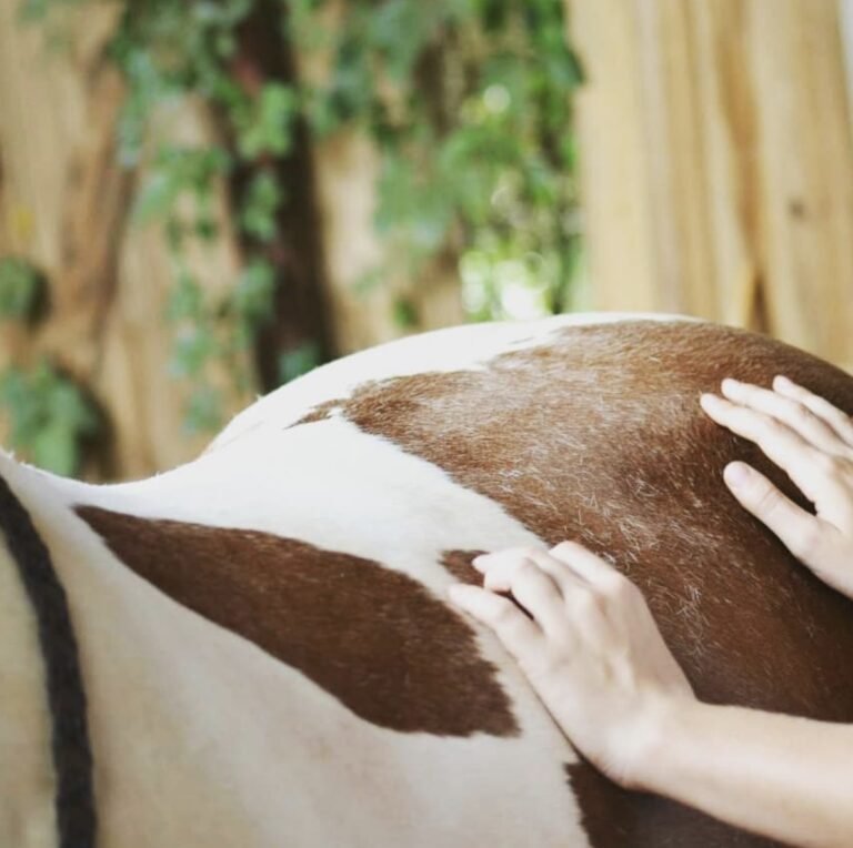 working with horses can help you feel grounded