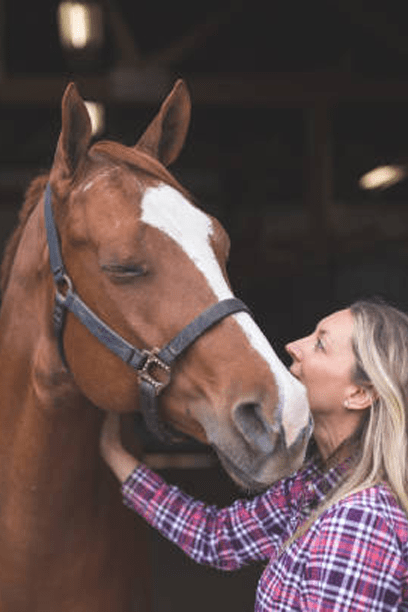 meditation with horses