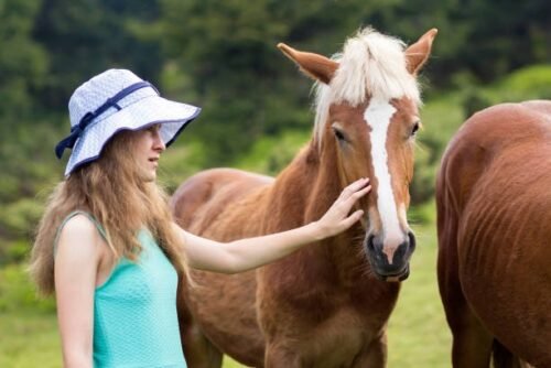 working with horses makes you feel good