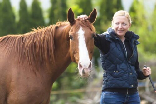 use horses to develop trust with others