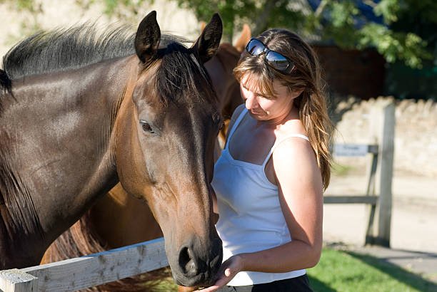 equine assisted learning can develop connection, confidence and joy