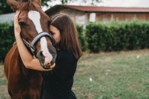 therapy with horses can be a breakthrough to happiness