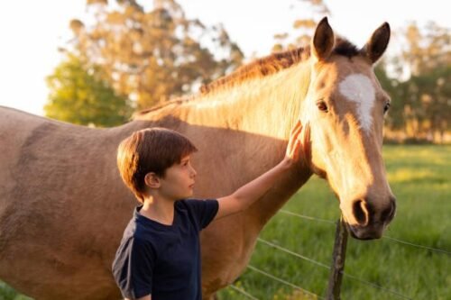 boy finding peace and calm through egala therapy