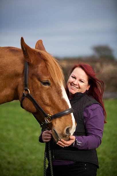 organize a corporate retreat with horses