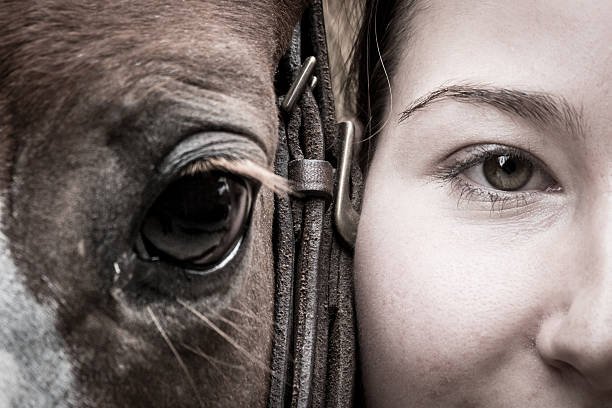 horses help troubled kids build bonds and be happy