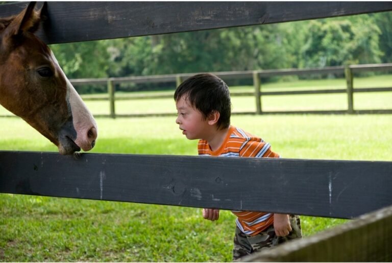 children of all ages benefit from equine therapy