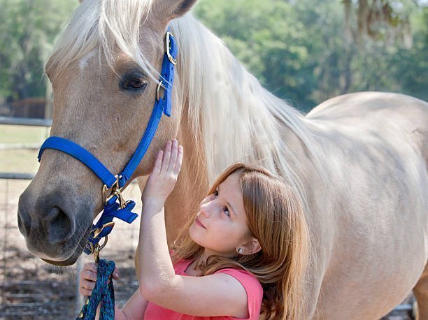 children love horses and learn a lot from them