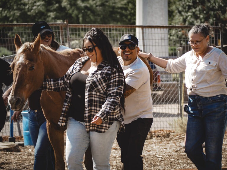 Equine Assisted Learning